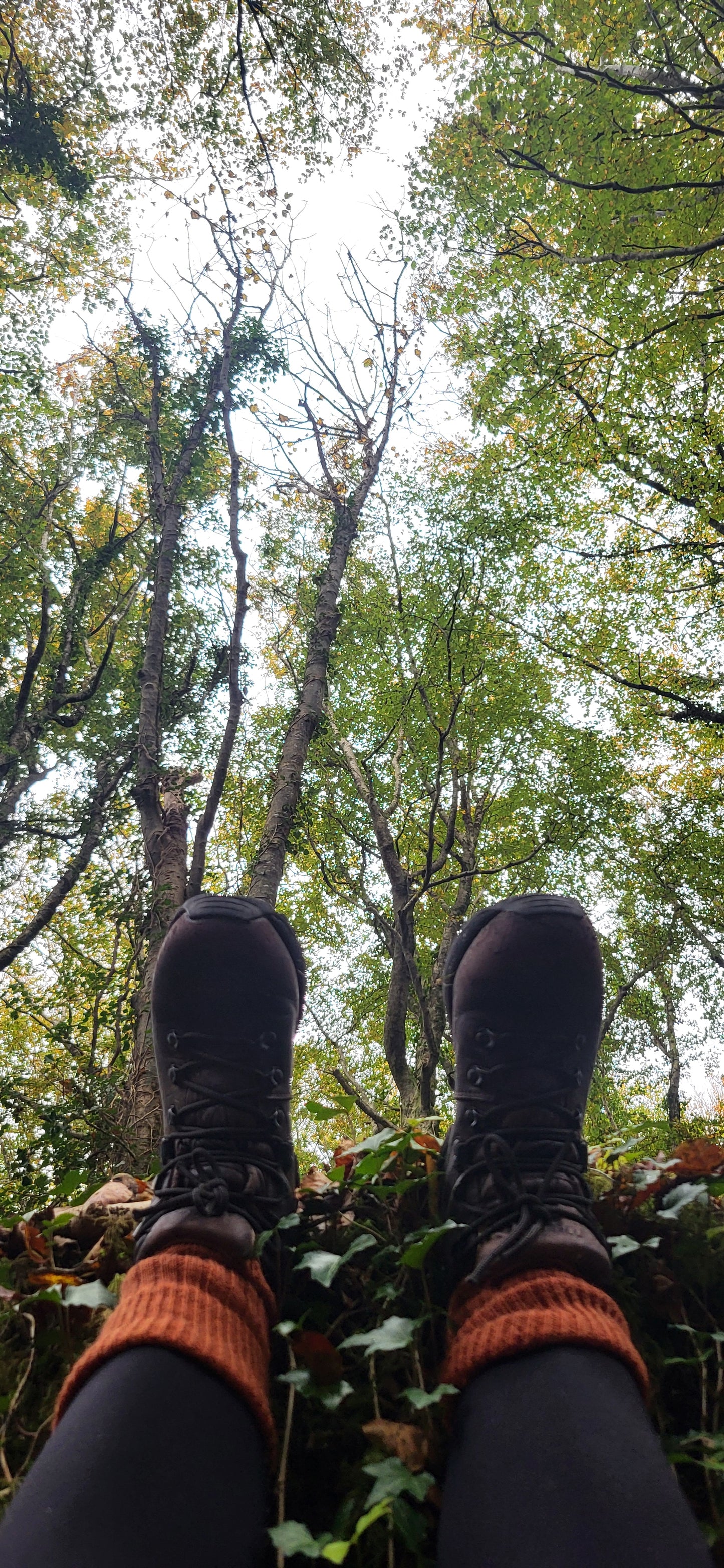 The Art of Living - a retreat.