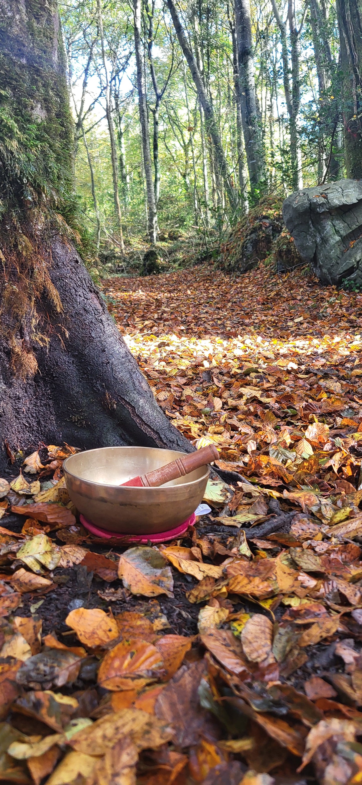 The Art of Living - a retreat.