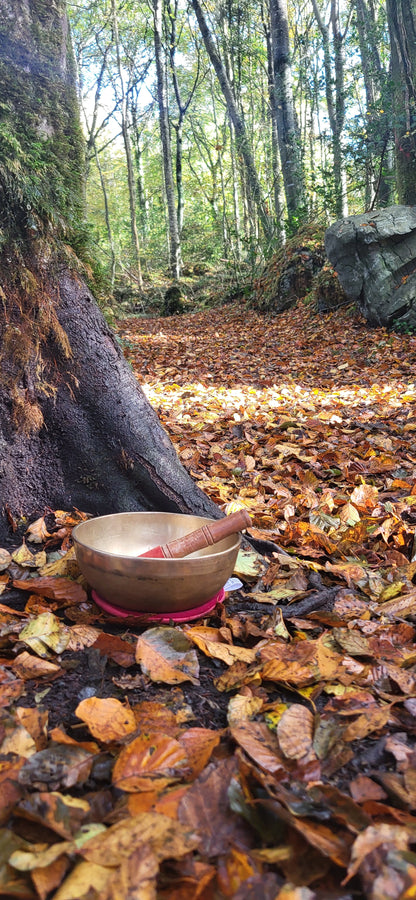 The Art of Living - a retreat.